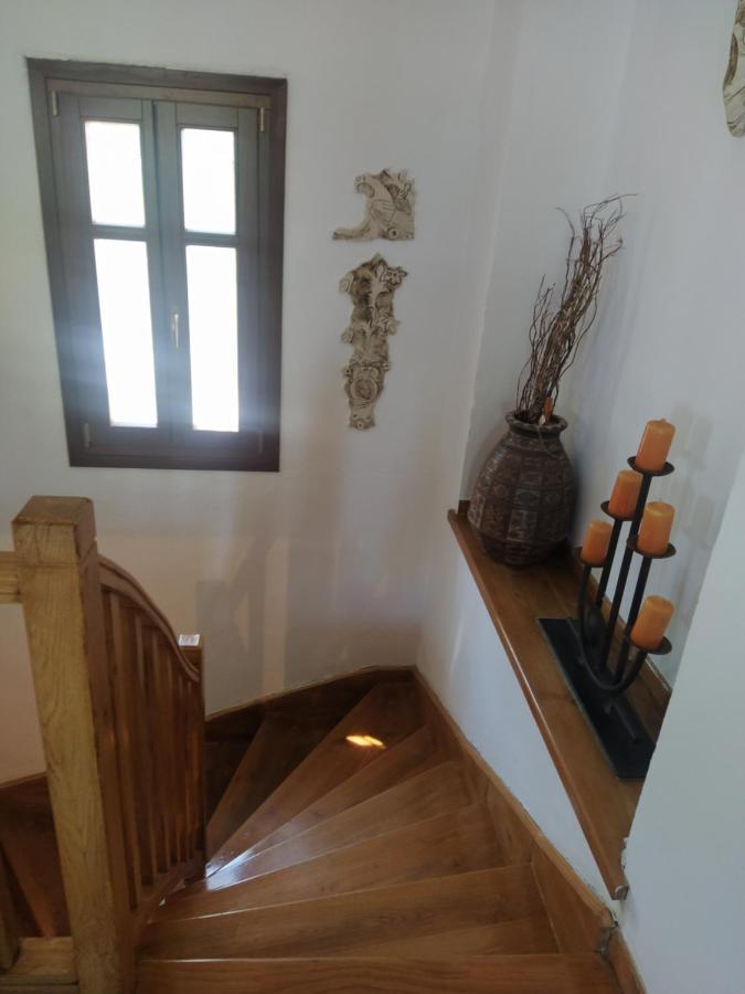 Villa Katerina Tsagarada Exteriér fotografie