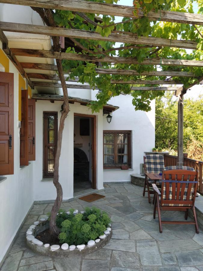 Villa Katerina Tsagarada Exteriér fotografie
